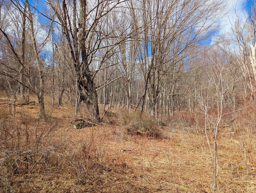 Lot 33.03 William Holmes Rd, Becket MA 01223 photo 11