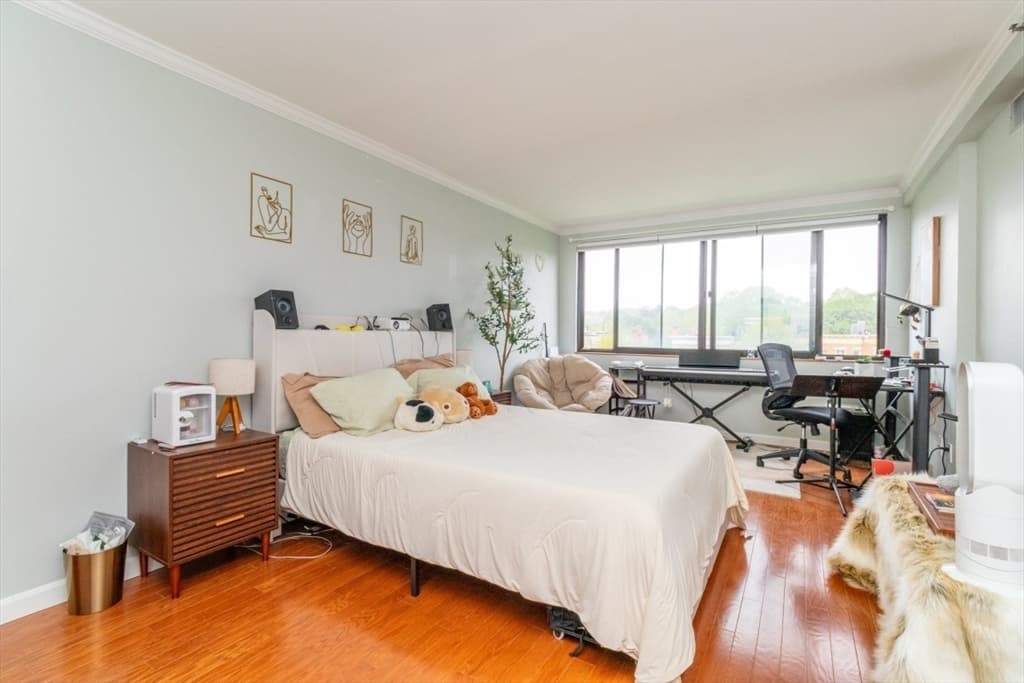 1731 Beacon St. # 520, Brookline MA 02445 photo 5