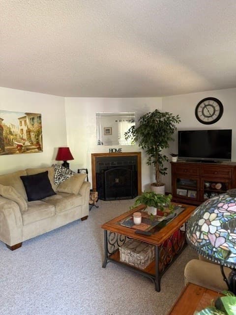 5 Meadowhill Ct # 44, Easton MA 02375 photo 7