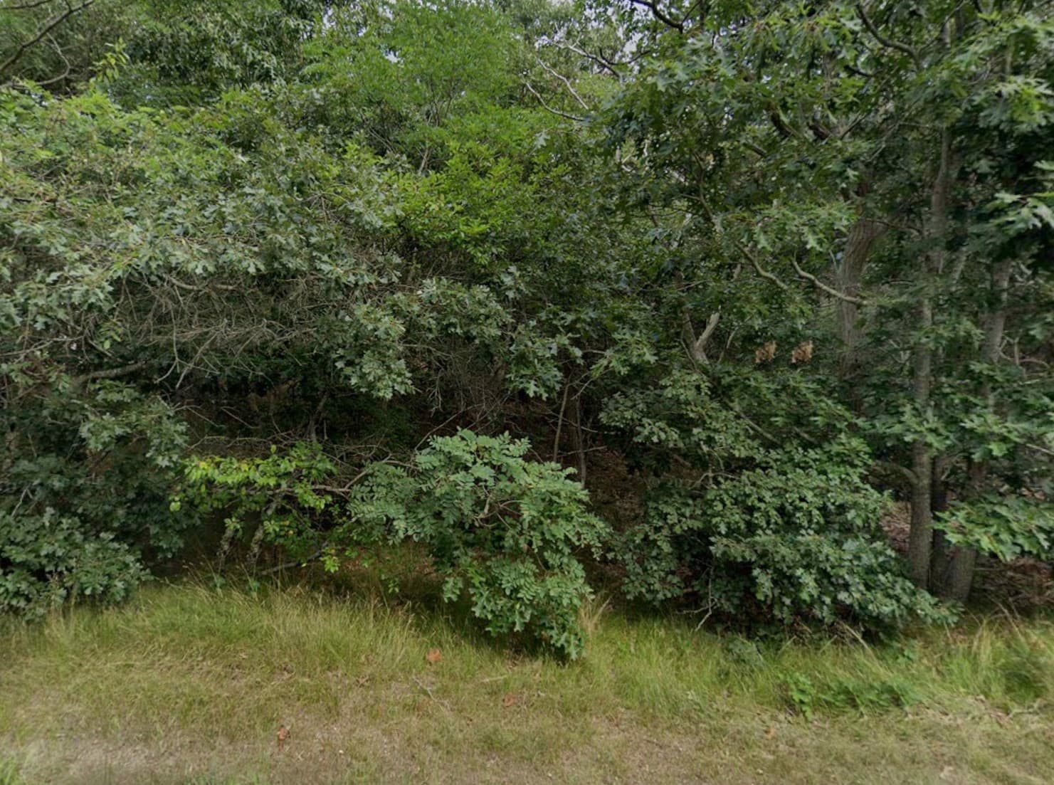 415 Cove Rd, Wellfleet MA 02667