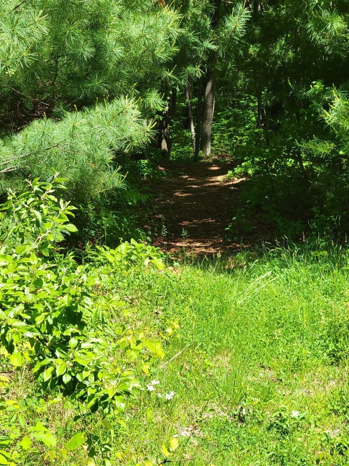 Residential at Lot 5 Daniels Rd, Charlton MA 01507, Charlton, photo 6 of 8