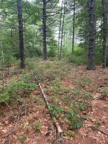 Residential at 35 Silva St, Carver MA 02330, photo 17 of 35