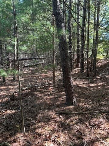 Residential at 35 Silva St, Carver MA 02330, photo 20 of 35