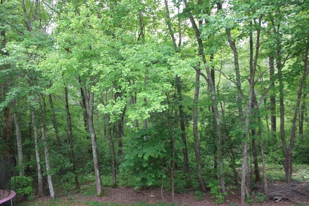 Single Family Residence at 27 Gretchen Way, Raynham MA 02767, Raynham, photo 17 of 20
