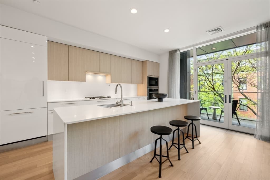 Condominium at 7 East Springfield Street # 3B, Boston MA 02118, photo 8 of 36