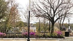 Condominium at 407 Washington St # 2, Boston MA 02124, photo 20 of 26