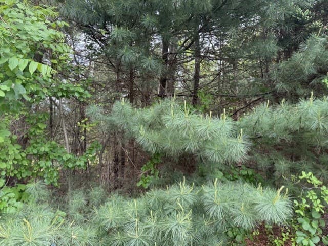 148 County Rd, Wareham MA 02576