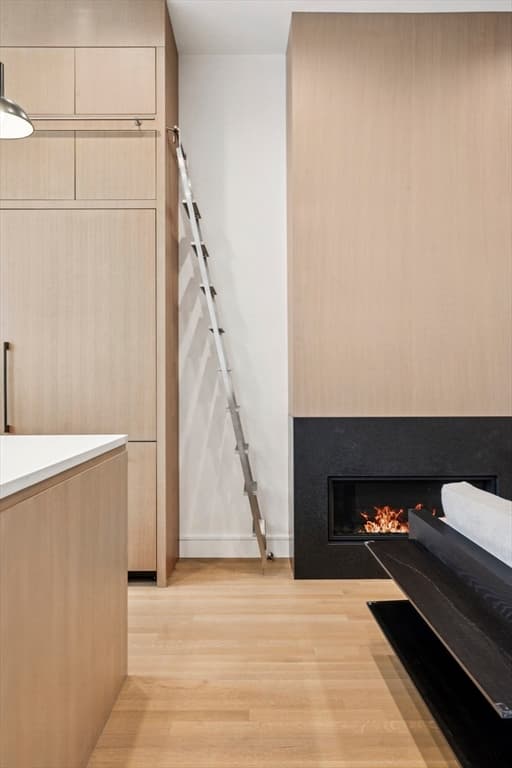 2 Family - 2 Units Up/Down at 189 W Brookline St, Boston MA 02118, Boston, photo 6 of 30