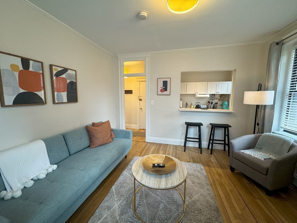 Condominium at 34 E Newton St. # 2, Boston MA 02118, photo 2 of 8