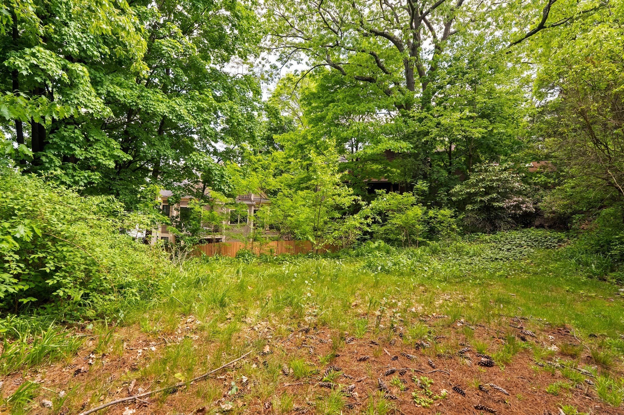 Residential at 212 Chestnut Ave, Boston MA 02130, photo 10 of 24