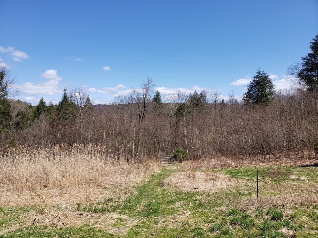 Residential at 31 Goss Hill Rd, Huntington MA 01050, photo 13 of 20