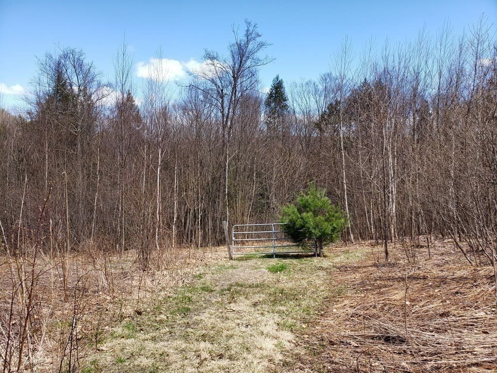 Residential at 31 Goss Hill Rd, Huntington MA 01050, photo 17 of 20