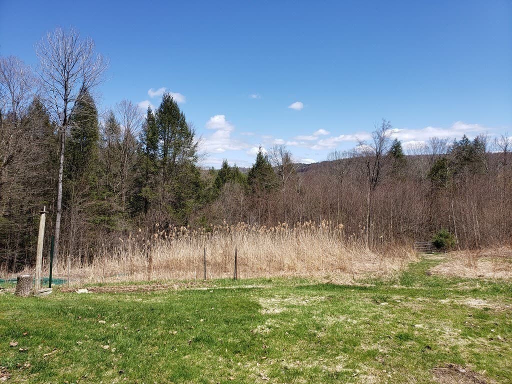 Residential at 31 Goss Hill Rd, Huntington MA 01050, photo 11 of 20
