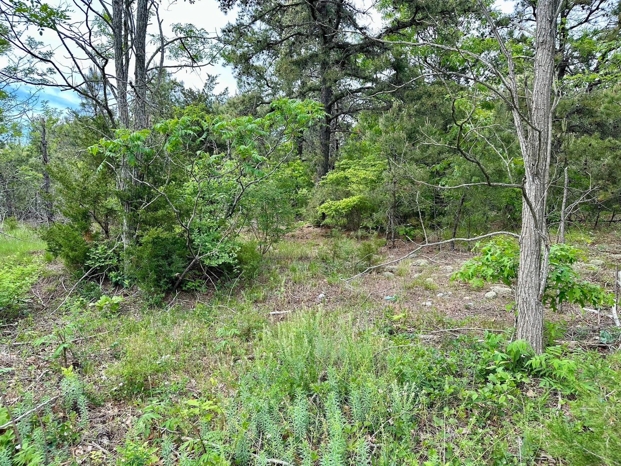 Residential at 12 Alexandra Dr, Freetown MA 02702, Freetown, photo 6 of 9