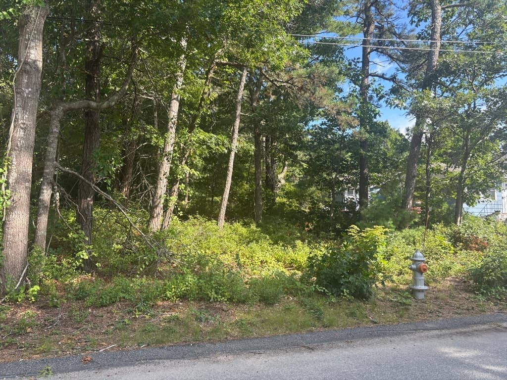 8 Blackbird Ave, Wareham MA 02538 photo 3