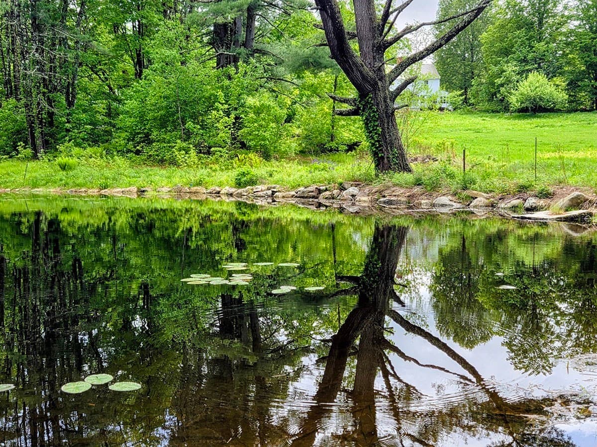Farm at 130 West Rd, Petersham MA 01366, photo 41 of 42