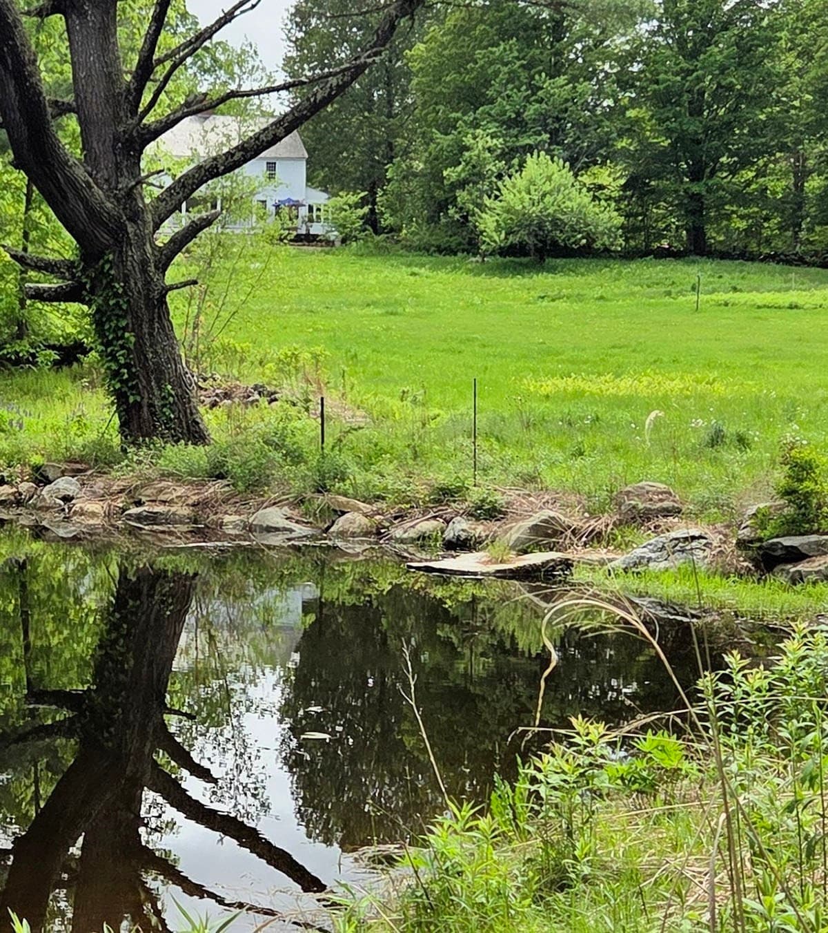 Farm at 130 West Rd, Petersham MA 01366, photo 40 of 42