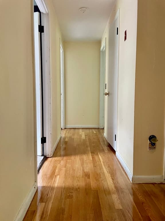 51 Jeffrey Ln, Amherst MA 01002 photo 36