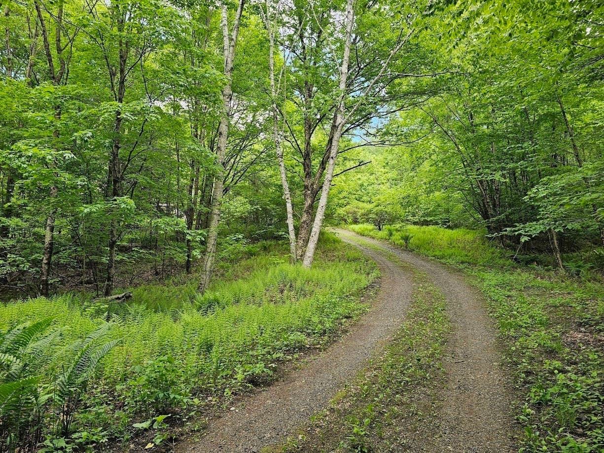 119 Buffam Rd, Pelham MA 01002
