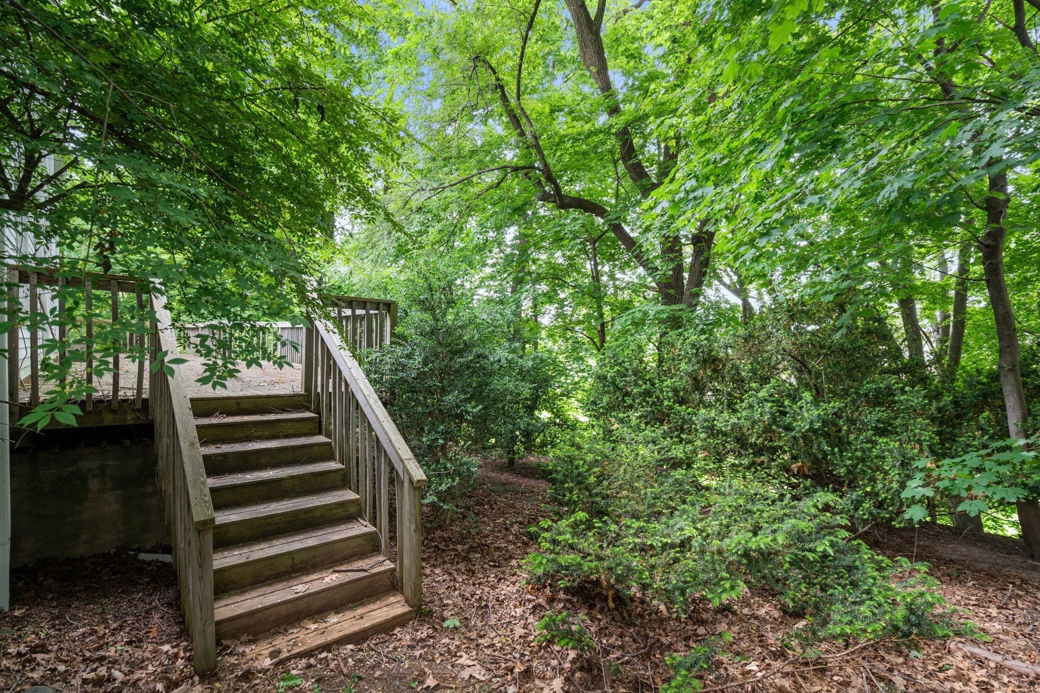 Residential at 104 Oldham Rd, Newton MA 02465, Newton, photo 7 of 10