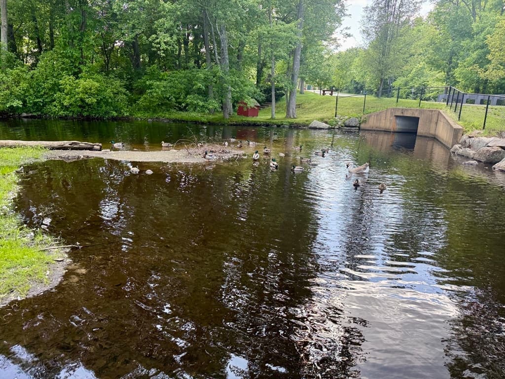 Condominium at 5 Shadowbrook Ln # 19, Milford MA 01757, Milford, photo 12 of 19