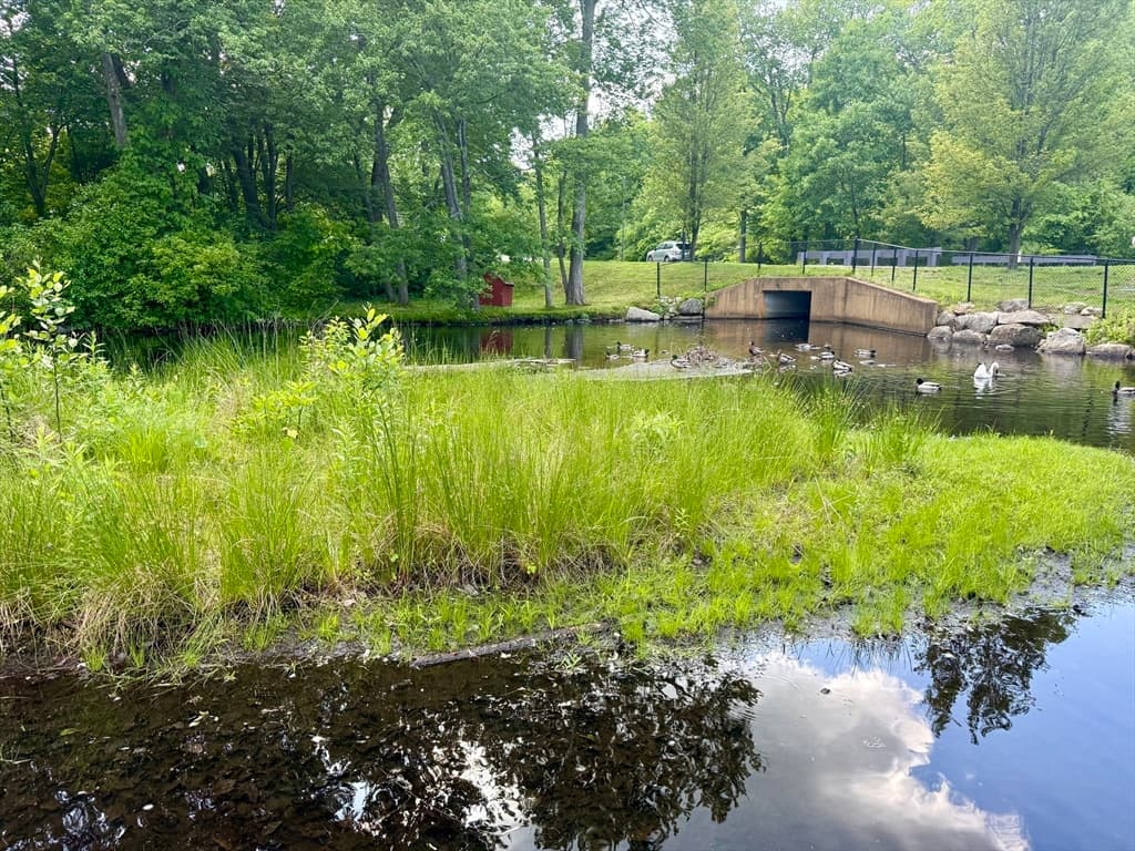 Condominium at 5 Shadowbrook Ln # 19, Milford MA 01757, Milford, photo 11 of 19