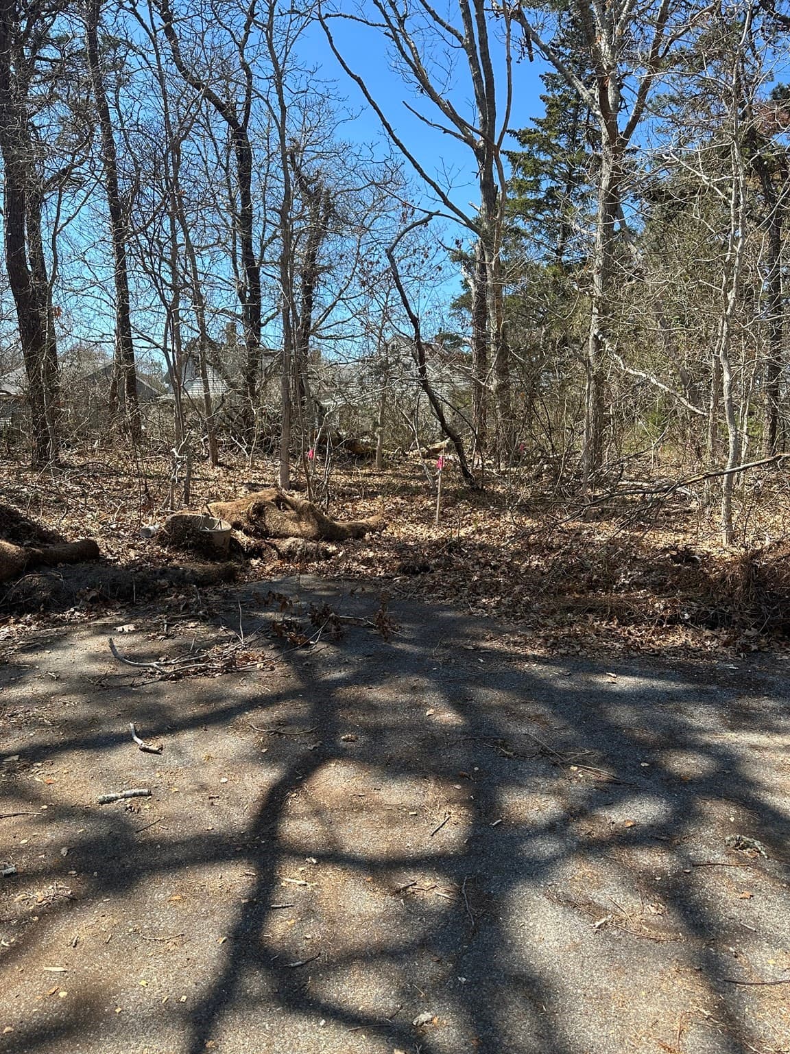 Residential at 83 Telegraph Rd, Dennis MA 02639, photo 2 of 4