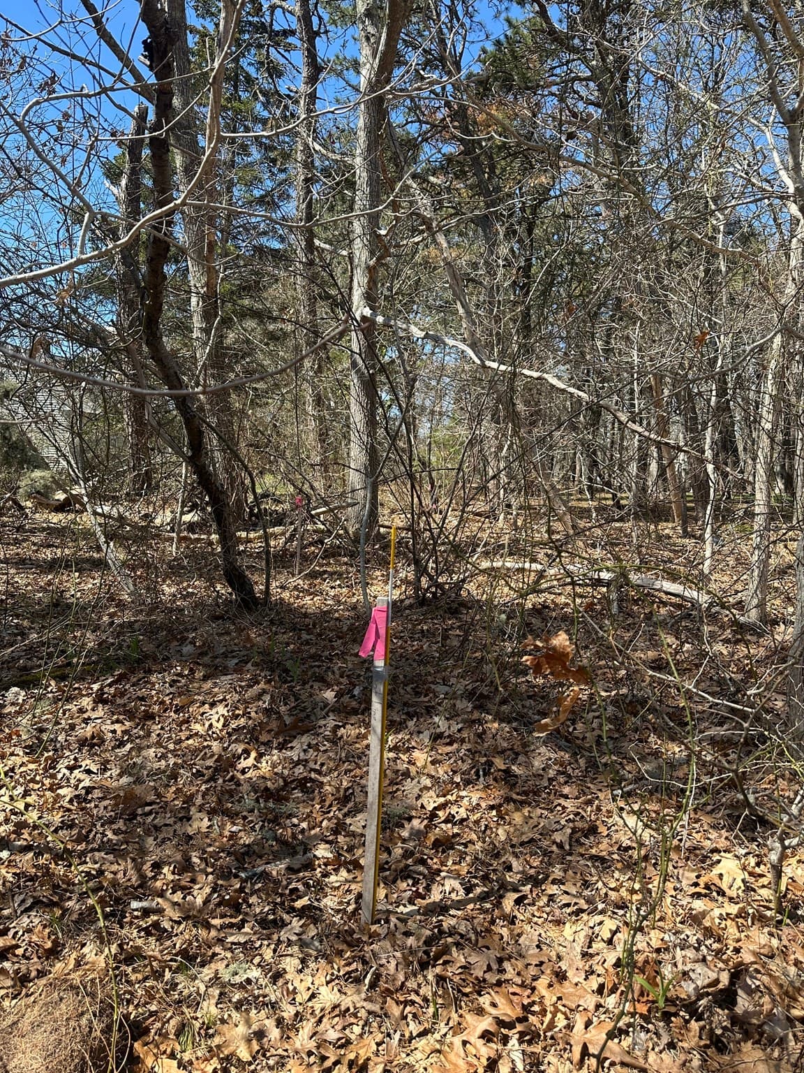 Residential at 83 Telegraph Rd, Dennis MA 02639, photo 3 of 4