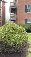 Condominium at 6 Tara Dr # 5, Weymouth MA 02188, photo 23 of 23