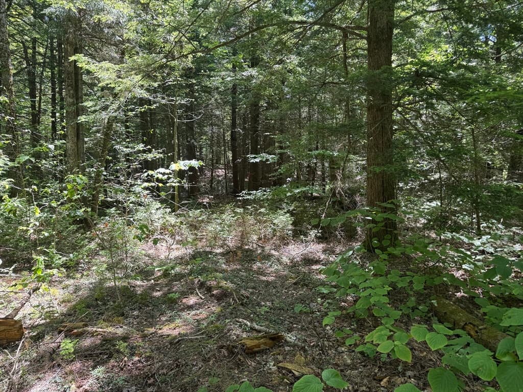 0 Old Stage Rd, Ashfield MA 01330 photo 2