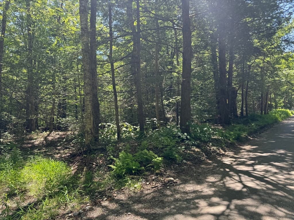 0 Old Stage Rd, Ashfield MA 01330 photo 6