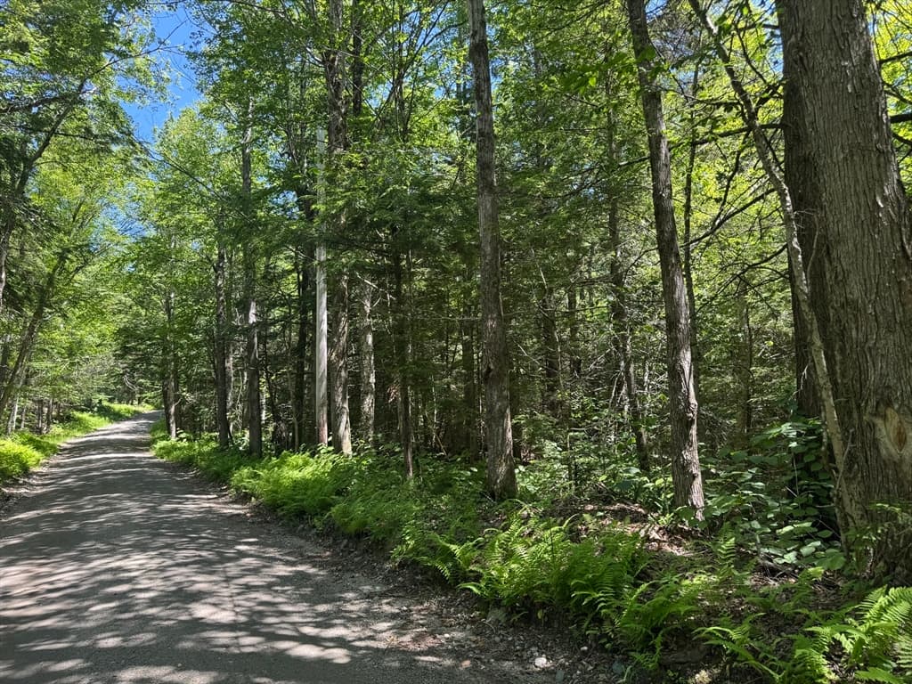 0 Old Stage Rd, Ashfield MA 01330 photo 7