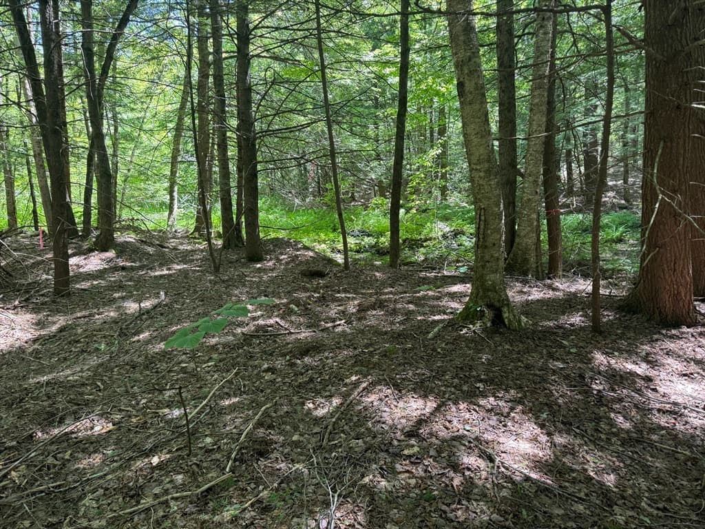 0 Old Stage Rd, Ashfield MA 01330 photo 3