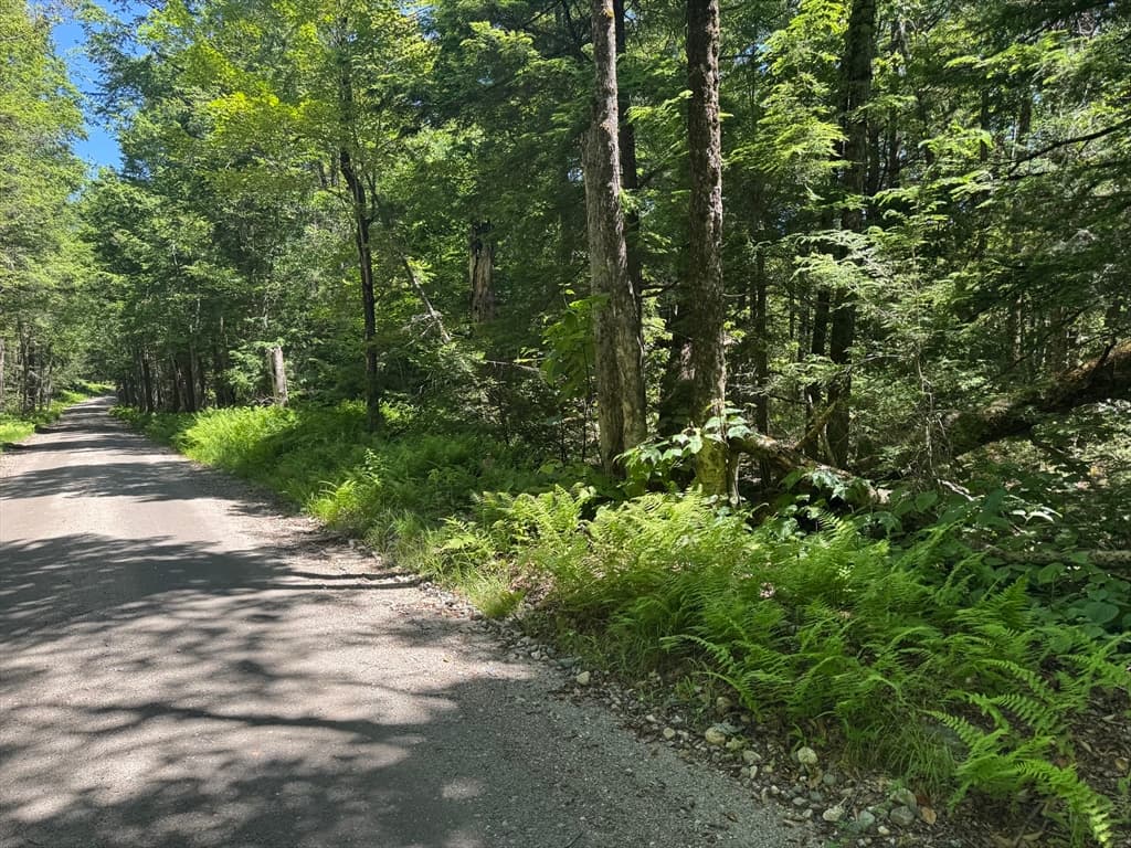 0 Old Stage Rd, Ashfield MA 01330