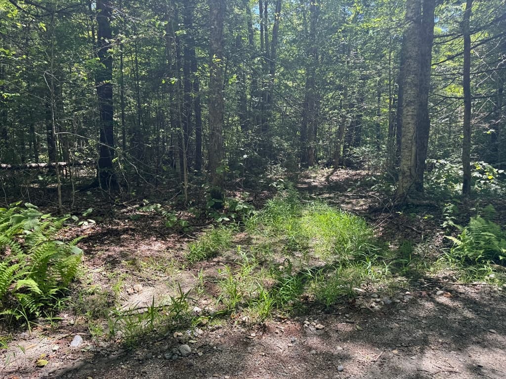 0 Old Stage Rd, Ashfield MA 01330 photo 5