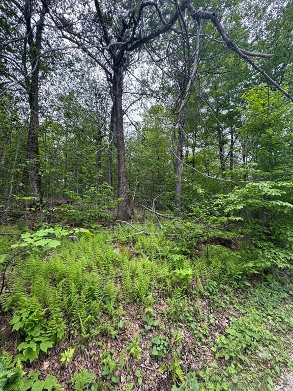 Lot 273 King Richard Dr, Becket MA 01223 photo 2