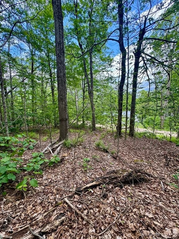 Lot 273 King Richard Dr, Becket MA 01223 photo 6