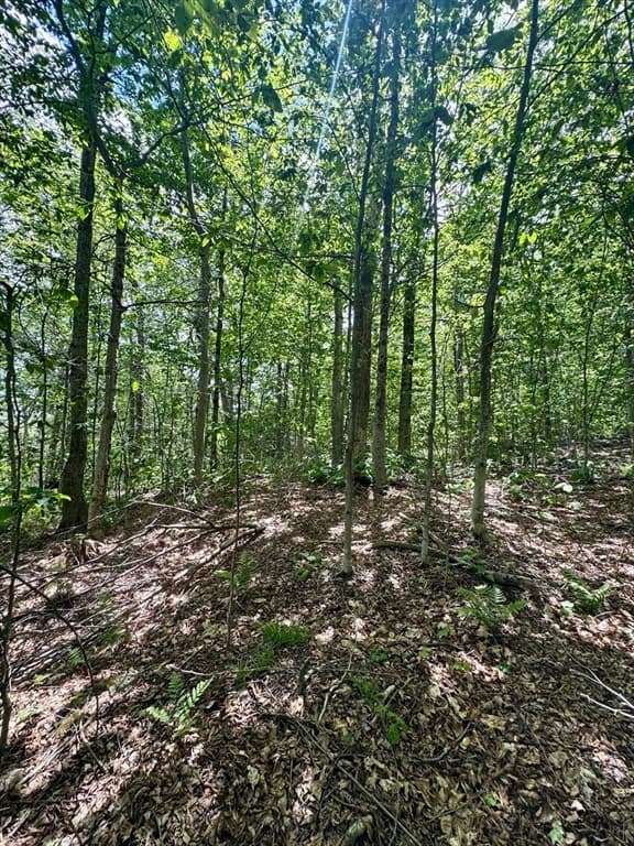 Lot 273 King Richard Dr, Becket MA 01223 photo 17