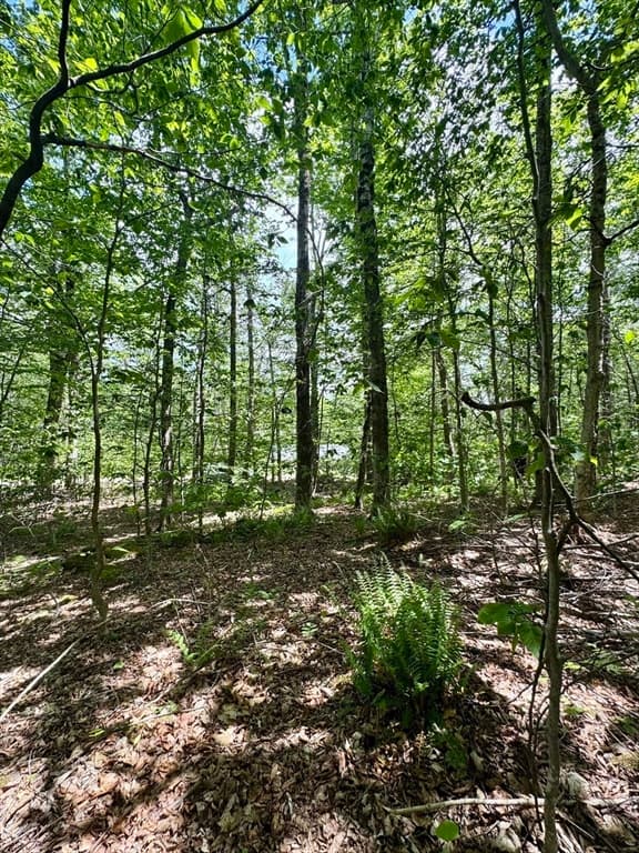 Lot 273 King Richard Dr, Becket MA 01223 photo 16