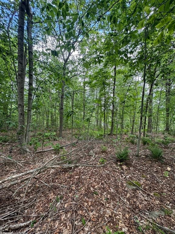 Lot 273 King Richard Dr, Becket MA 01223 photo 12