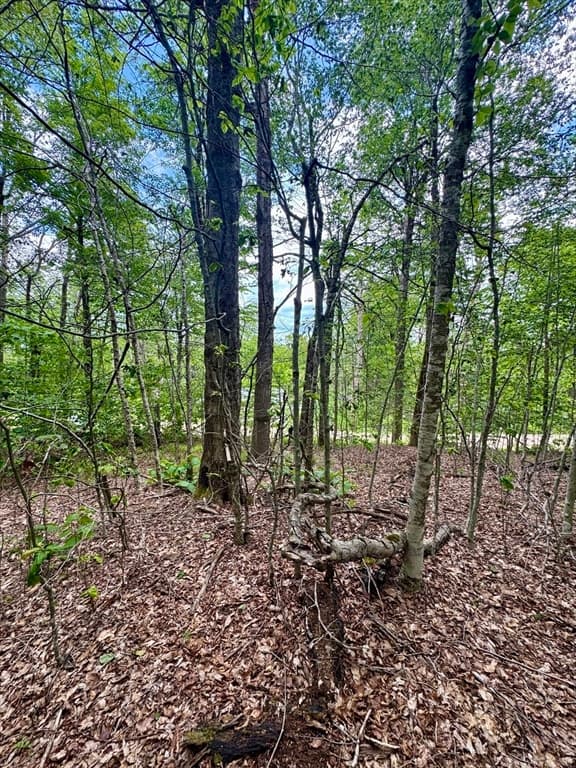 Lot 273 King Richard Dr, Becket MA 01223 photo 5
