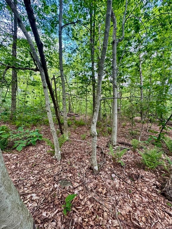 Lot 273 King Richard Dr, Becket MA 01223 photo 20
