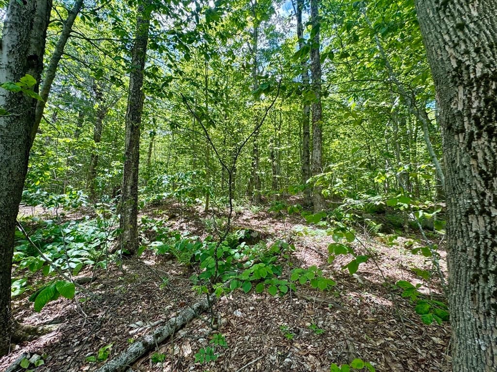Lot 273 King Richard Dr, Becket MA 01223 photo 24