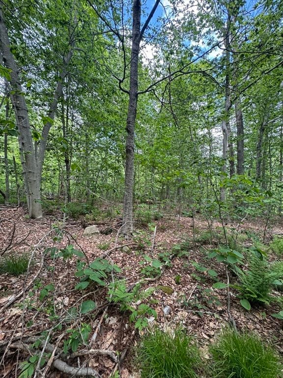 Lot 273 King Richard Dr, Becket MA 01223 photo 14