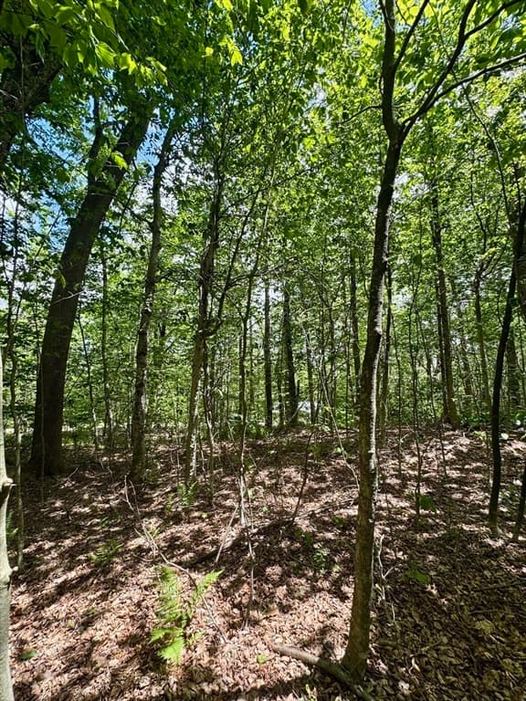 Lot 273 King Richard Dr, Becket MA 01223 photo 18