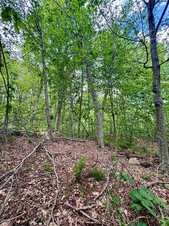 Lot 273 King Richard Dr, Becket MA 01223 photo 15