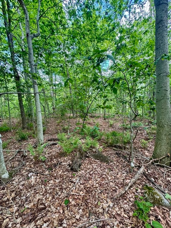 Lot 273 King Richard Dr, Becket MA 01223 photo 11