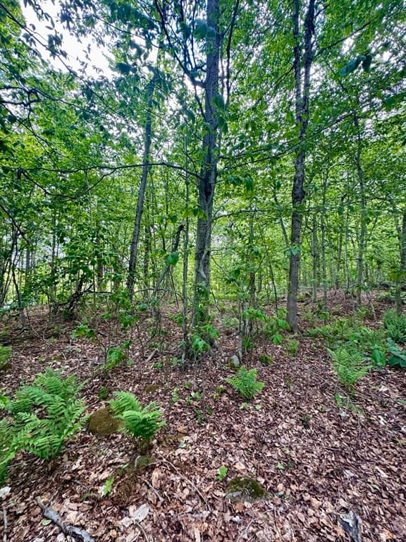 Lot 273 King Richard Dr, Becket MA 01223 photo 19