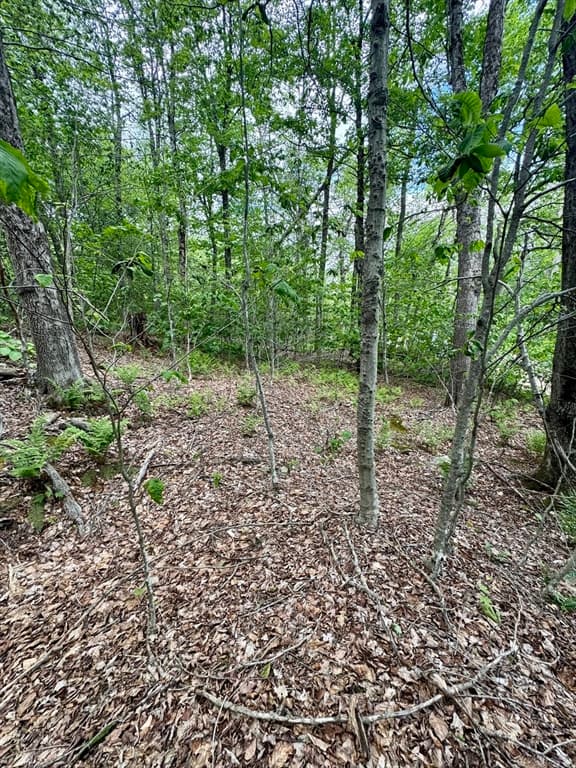 Lot 273 King Richard Dr, Becket MA 01223 photo 4