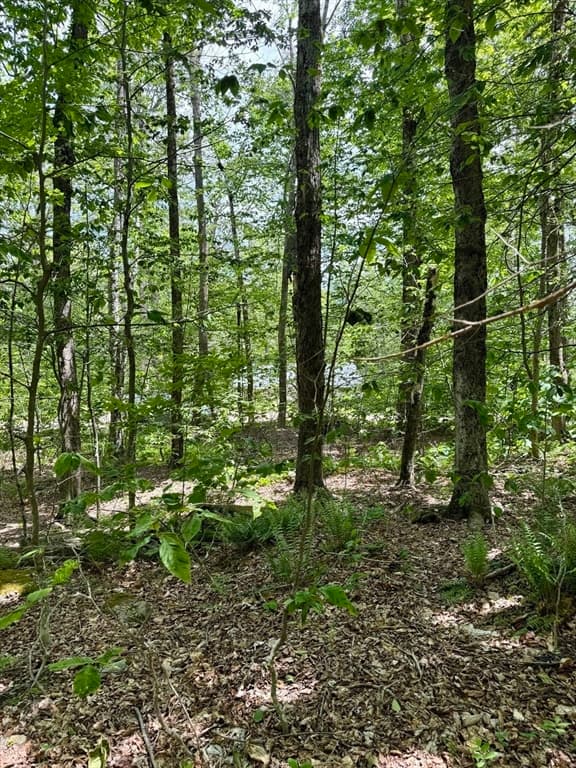 Lot 273 King Richard Dr, Becket MA 01223 photo 21